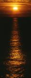 <b>Maine Sunrise*</b><br>by Phil Johnson