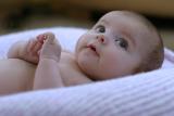 <b>Kayla Morgan*</b><br><i>Derek Sedillo</i>