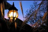 On The Walk Home*