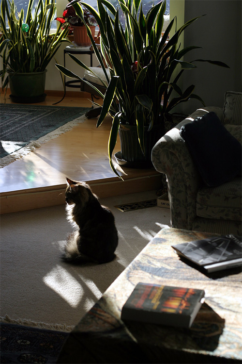 <B>The Queen in her Parlor</B><BR>*<FONT size=2>by Ann Chaikin</FONT>