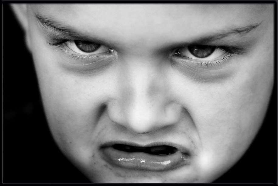 <B>Say Hello To My Little Friend</B><br>*by Steve Huff