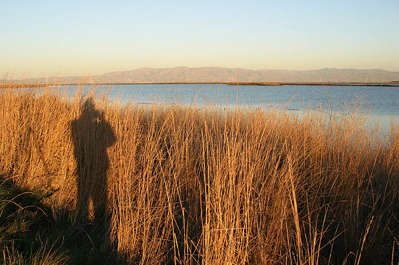 <B>Golden Hour</B>*<BR>by Garrett Lau