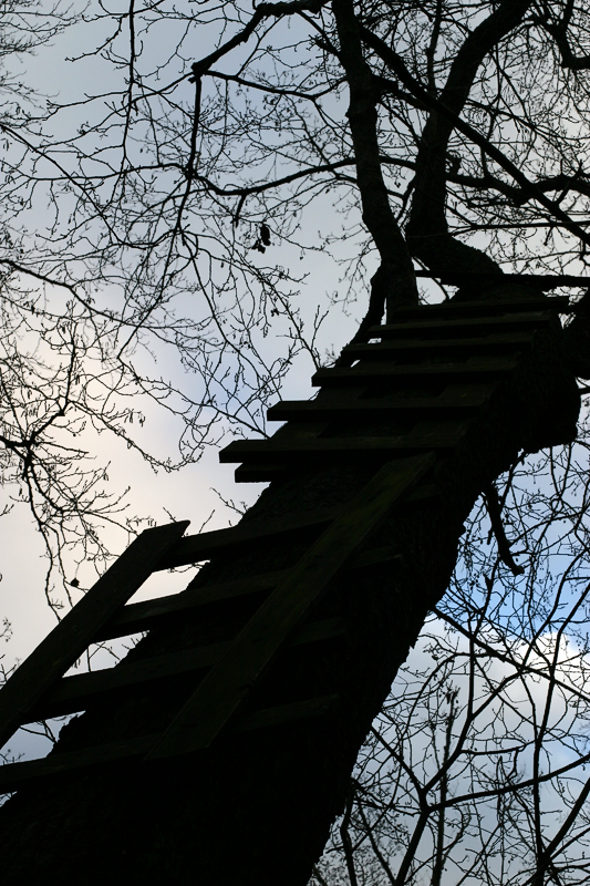 Stairway to ?* by annayu2