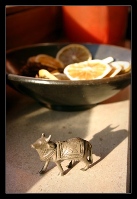 <b>Zebu</b> * <br> by Frederic Poncelet