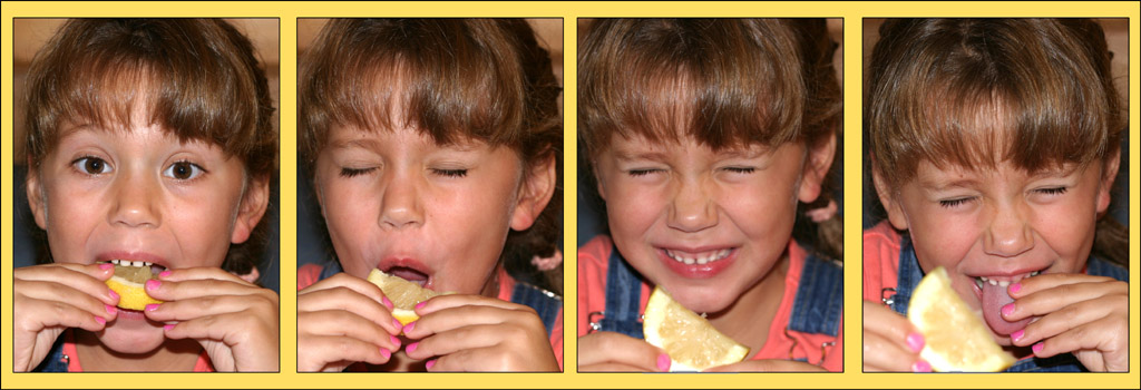 <b>The Lemon</b><br><font size =1>* by Earl Waud *</font>