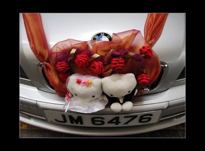 Kitty Wedding*