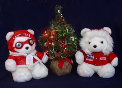 Getting ready for Christmas  *