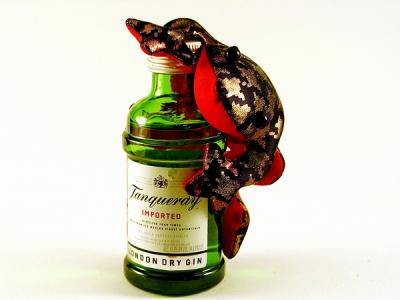 Gin Froggy(*)