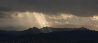 Sunrays*