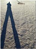 ShadowS on Sod <br>*</br>