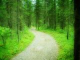 A hiking Trail (*)
