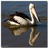 Mirror Image (*)