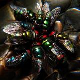 Flies*