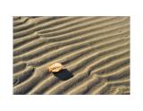 The Empty Shell (*)