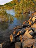 Foreshore *