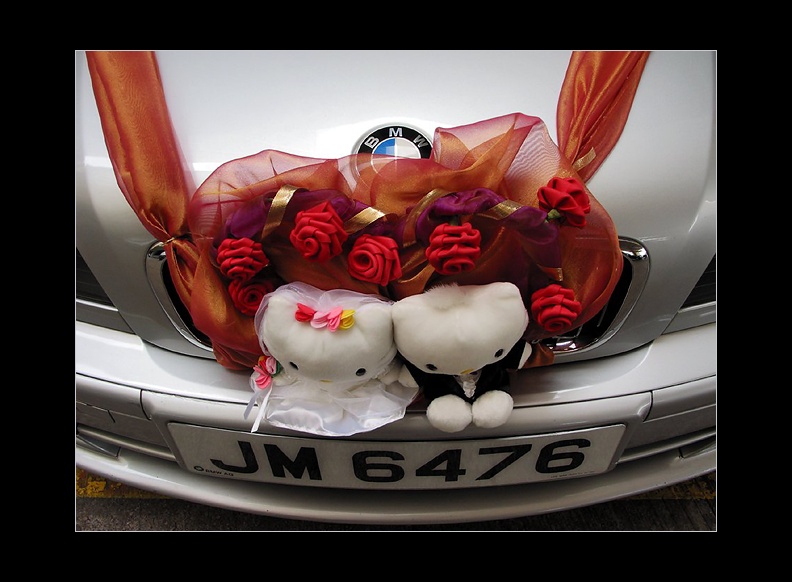 Kitty Wedding*