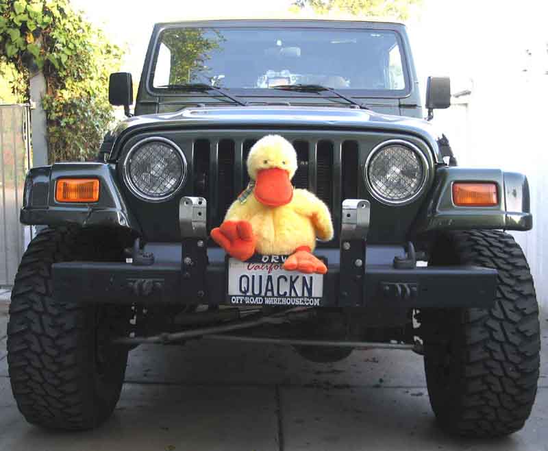 Joy Ride*