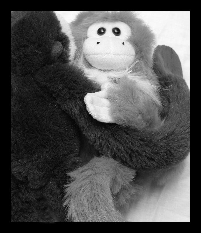 got monkeys? *
