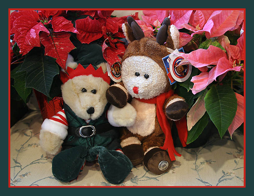 Starbucks Bears I