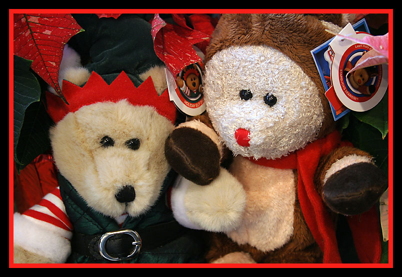 Starbucks Bears II