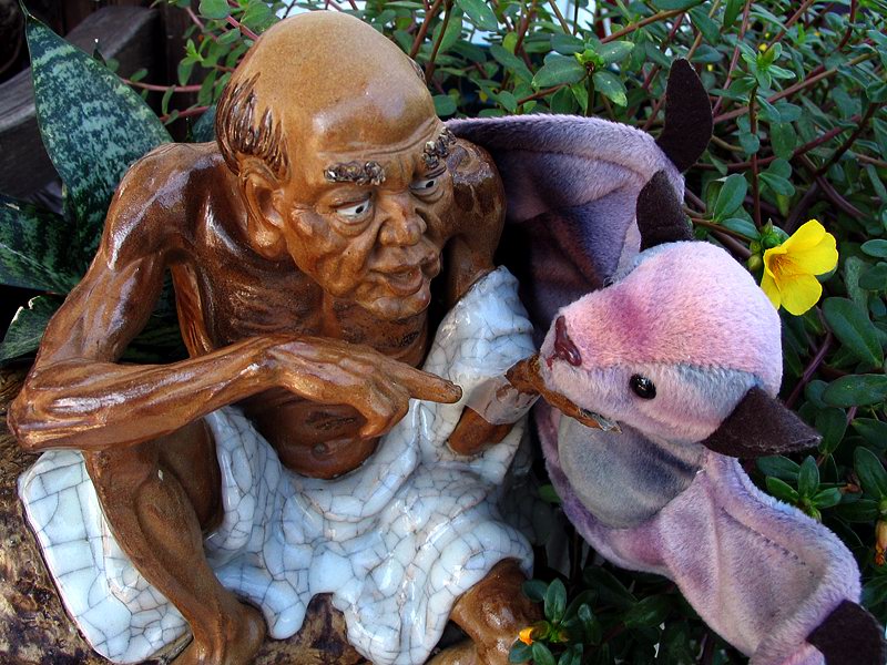 The Bat Whisperer*