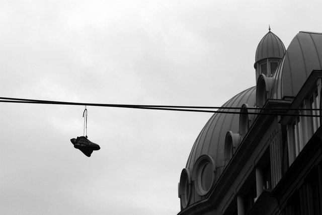 <b>Shoe</b> *