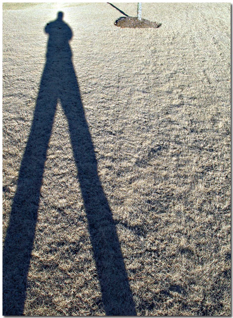 ShadowS on Sod <br>*</br>
