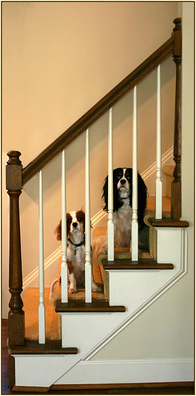 <b>Stairs</b> *