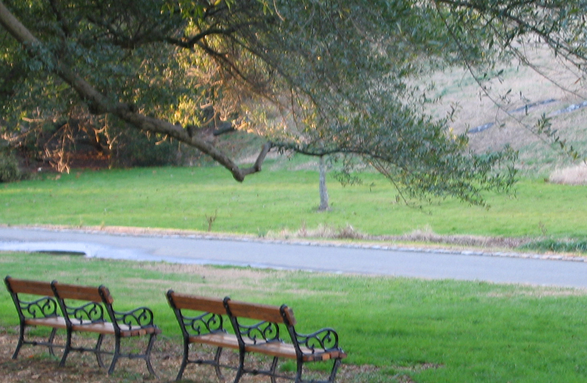 Solitude (*)