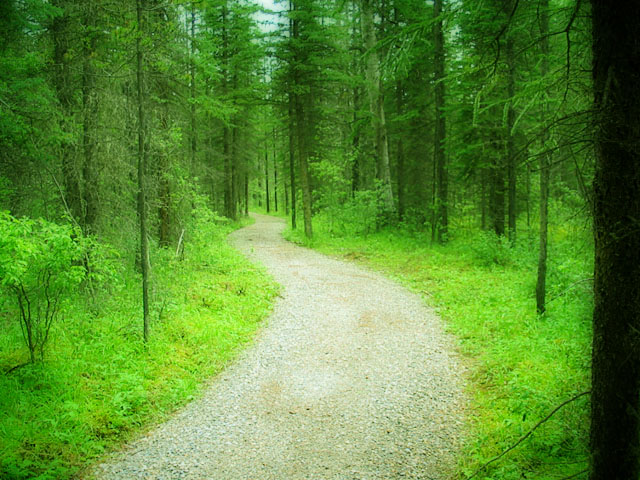 A hiking Trail (*)
