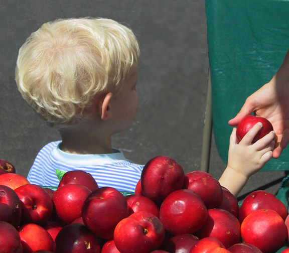 Little Boy Buying Apple