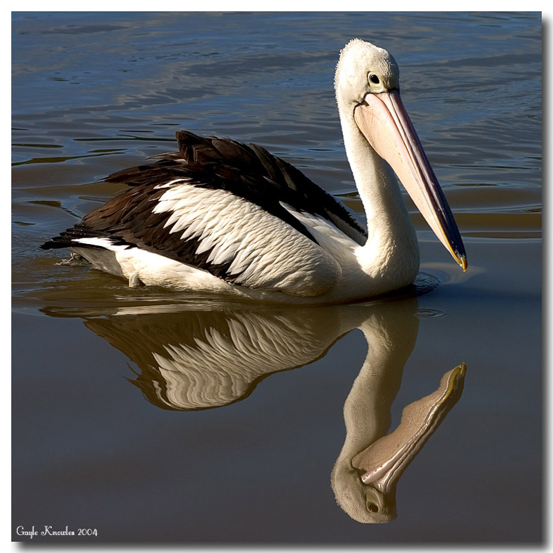 Mirror Image (*)