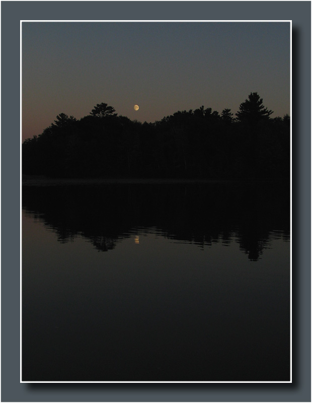 Moonlit Night<br>by dave v