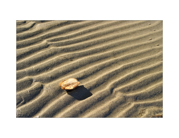 The Empty Shell (*)