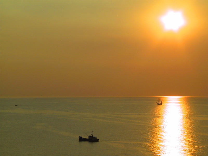 Sunset View