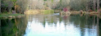 Fishing Derby Pond