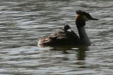 IMG_4809.JPG