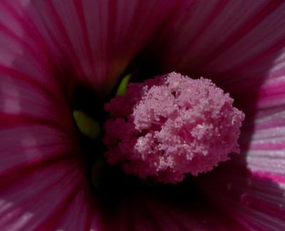u36/darwinian/medium/24529151.hollyh1013.jpg