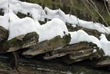 Bronx Zoo in Winter