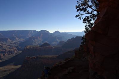 Kaibab Shadow.jpg