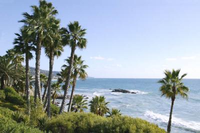 laguna beach 11