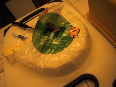 The Big Cheeze.JPG