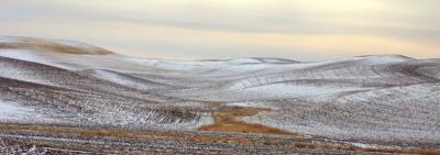 palouse0933.jpg