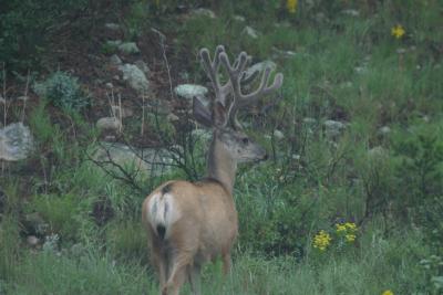 IMG_6624.JPG