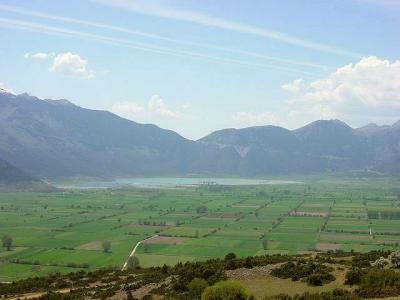 Feneos Plateau, so green in spring...