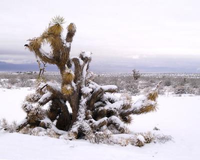 Snow on Kyle Cyn. Road