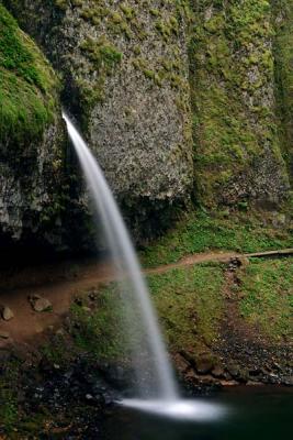 u36/dickg/medium/23513170.PonytailFalls1WColumbiaRiverGorge.jpg