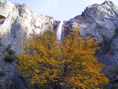 Yosemite, Bridal Veil, CA