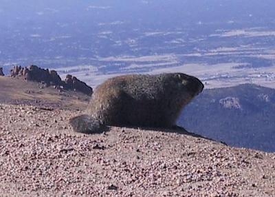 u36/djohndrow/medium/34467673.PikesPeak2003092207.jpg