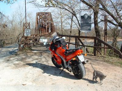 Bike, Bridge and the Guard Cat (very friendly)